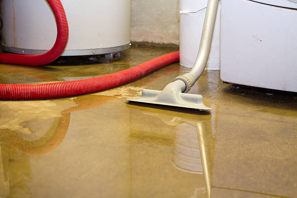 Best 24-hour water damage restoration  in Perris, CA