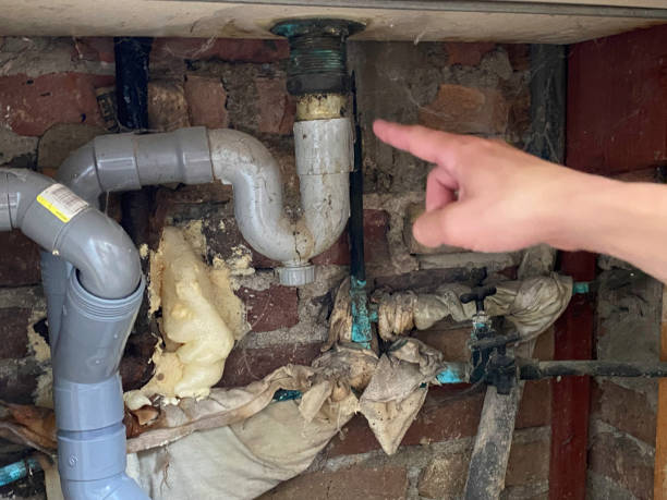 Best Carpet water damage restoration  in Perris, CA