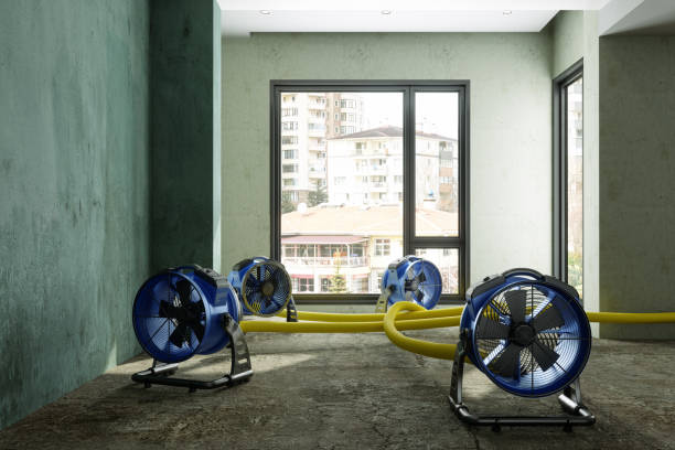 Best Basement water damage restoration  in Perris, CA