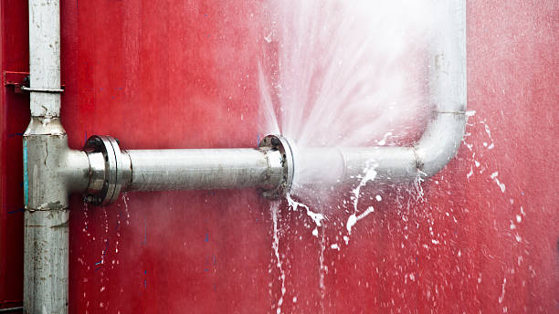 Best Mold removal after water damage  in Perris, CA